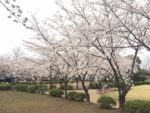 【現地写真】