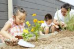 【屋上庭園の楽しみ方】親子で育てる、屋上菜園(屋上)